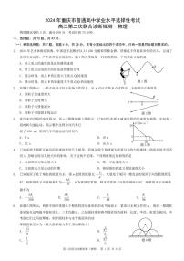 2024届重庆高三下学期二诊（康德卷）物理试题+答案