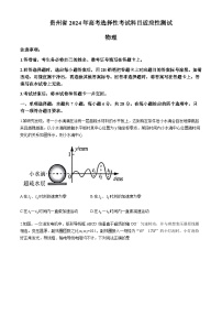 贵州省2024年高三年级下学期适应性考试 物理试题及答案