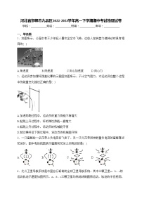 河北省邯郸市九县区2022-2023学年高一下学期期中考试物理试卷(含答案)