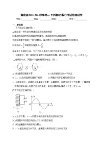 湖北省2023-2024学年高二下学期2月收心考试物理试卷(含答案)