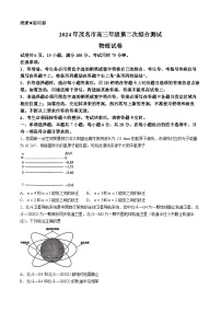 2024年广东省茂名市高三下学期二模考试 物理试题