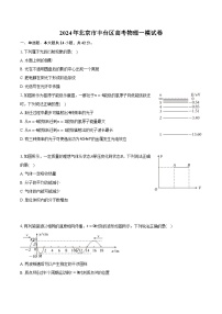 2024年北京市丰台区高考物理一模试卷（含解析）