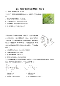 2024年辽宁省辽阳市高考物理一模试卷（含解析）