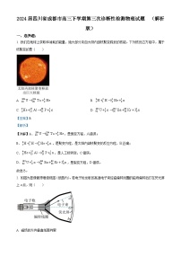 2024届四川省成都市高三下学期第三次诊断性检测物理试题  （解析版）