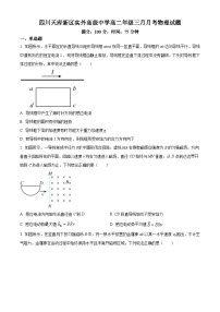 四川省成都市天府新区实外高级中学2023-2024学年高二下学期3月月考物理试题（原卷版+解析版）