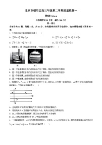 北京市朝阳区2024届高三下学期4月一模物理试卷（Word版附答案）