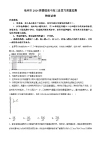 2024届河北省市沧州市高三下学期复习质量检测（二模）物理试题