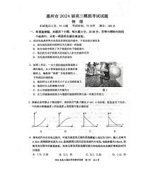 2024届广东省惠州市高三下学期一模拟考试物理试题