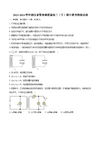 湖北省鄂东南联盟2023-2024学年高二下学期期中联考物理试卷