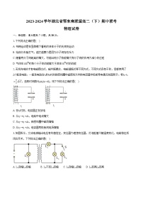 湖北省鄂东南省级示范高中教育教学改革联盟学校2023-2024学年高二下学期期中联考物理试卷（Word版附解析）