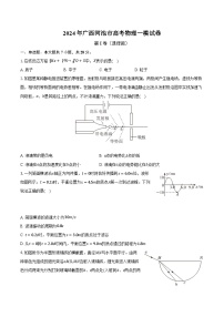 2024年广西河池市高考物理一模试卷(含解析）