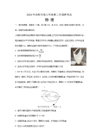 2024届广东省深圳市高三下学期二模物理试题