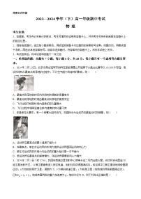 河南省多校2023-2024学年高一下学期4月期中联考物理试卷（Word版附答案）