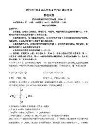 2024届湖北省武汉市高三下学期4月调研（二模）物理试题 Word版