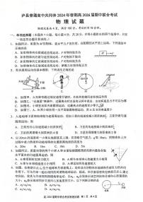 四川省泸州市泸县普通高中共同体2023-2024学年高一下学期4月期中联合考试物理试题