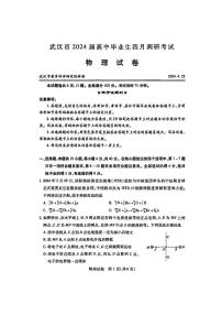 2024届湖北省武汉市高三下学期4月调研（二模）物理试题