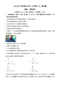 2024届广东省惠州市高三下学期4月一模试题 物理 （解析版）