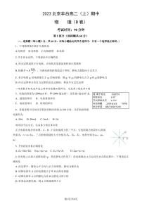 2023 北京丰台高二上学期期中物理（B 卷）试卷