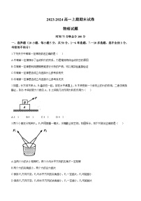 河南省周口市鹿邑县2023-2024学年高一上学期1月期末考试物理试题(无答案)