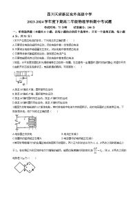 四川省成都市天府新区实外高级中学2023-2024学年高二下学期期中考试物理试题(无答案)