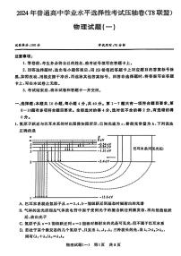 2024届湖北T8联盟普通高中高三下学期学业水平选择性考试压轴物理试卷（一）