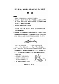 2024届贵州省高三下学期4月适应性考试物理试题