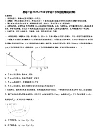 黑龙江省2023-2024学年高三下学期物理模拟试题