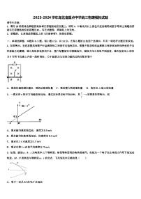 2023-2024学年湖北省重点中学高三物理模拟试题