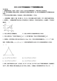 2023-2024学年湖南省高三下学期物理模拟试卷