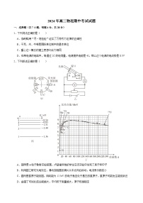 湖南省岳阳市岳阳县第一中学2023-2024学年高三下学期4月期中考试物理试题