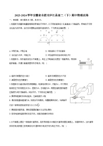 2023-2024学年安徽省合肥市庐江县高二（下）期中物理试卷(含解析）