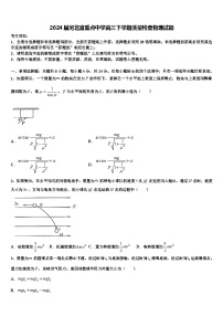 2024届河北省重点中学高三下学期质量检查物理试题