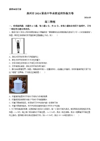 2024届福建省泉州市高三下学期5月适应性练习物理试题
