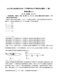 2024届山东省临沂市高三下学期学业水平等级考试模拟（二模）物理试题（Word版）