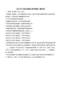2024年上海市杨浦区高考物理二模试卷（含详细答案解析）