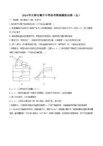 2024年天津市南开中学高考物理模拟试卷（五）（含详细答案解析）