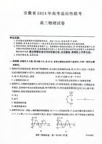 安徽省合肥市部分学校2024届高三下学期三模物理试卷（PDF版附答案）