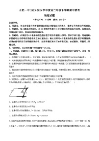 安徽省合肥市第一中学2023-2024学年高二下学期期中联考物理试题(无答案)