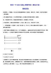 2024届贵州省黔东南苗族侗族自治州凯里市第一中学高三下学期三模物理试题(黄金二卷)