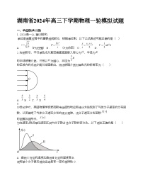 湖南省2024年高三下学期物理一轮模拟试题