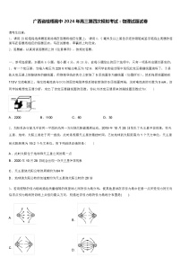 广西省桂梧高中 2024 年高三第四次模拟考试：物理试题试卷（解析版）
