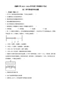 黑龙江省哈尔滨市双城区兆麟中学2023-2024学年高二下学期5月期中考试物理试题（原卷版+解析版）