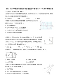 2023-2024学年四川省眉山市仁寿实验中学高二（下）期中物理试卷（含解析）