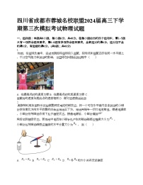 四川省成都市蓉城名校联盟2024届高三下学期第三次模拟考试物理试题