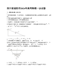 四川省绵阳市2024年高考物理一诊试卷