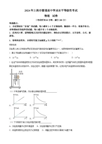 2024年上海市普通高中学业水平等级考试物理试题（原卷版+解析版）