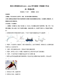 湖北省武汉市常青联合体2023-2024学年高一下学期期中考试物理试卷（原卷版+解析版）