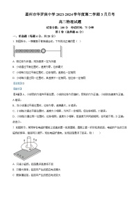 221，广东省惠州市华罗庚中学2023-2024学年高二下学期3月月考物理试题