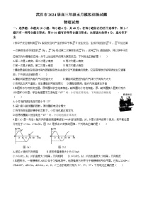 湖北省武汉市2024届高三下学期五月模拟训练物理试题（Word版附答案）