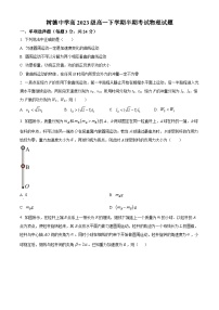 四川省成都市树德中学2023-2024学年高一下学期5月期中考试物理试题（原卷版+解析版）